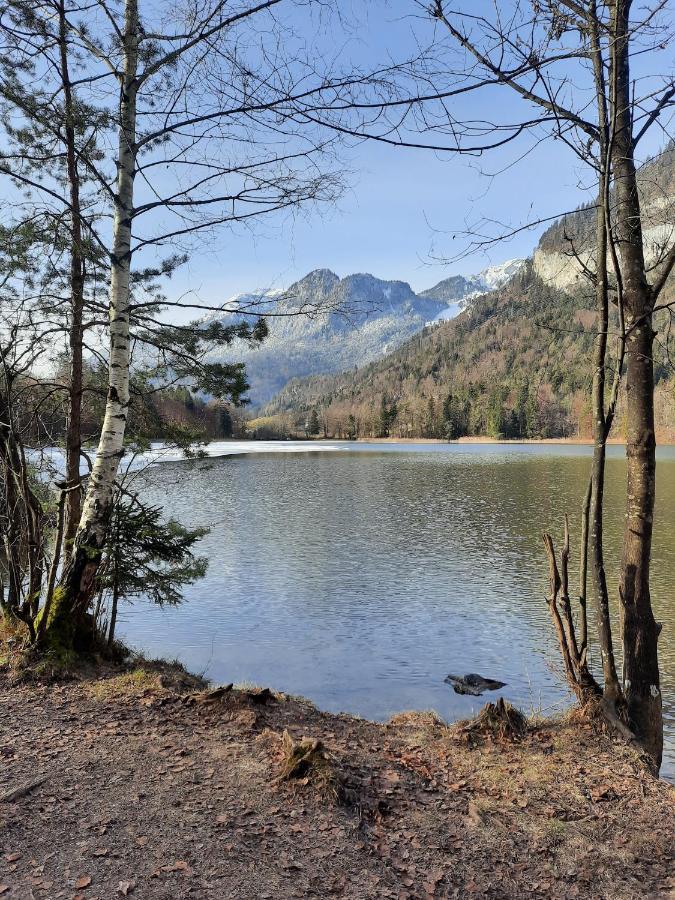 Haus Gmahblick Ferienwonungen Hotell Alpbach Eksteriør bilde