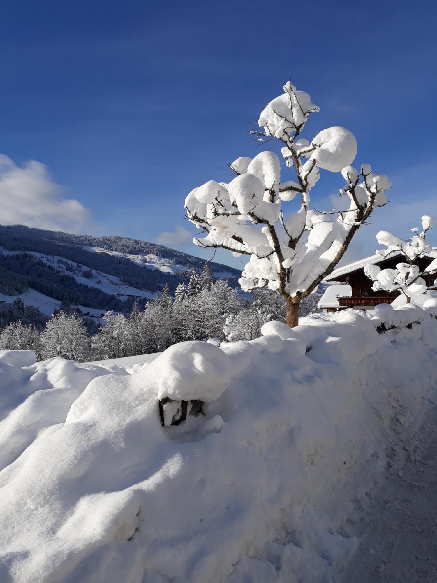 Haus Gmahblick Ferienwonungen Hotell Alpbach Eksteriør bilde