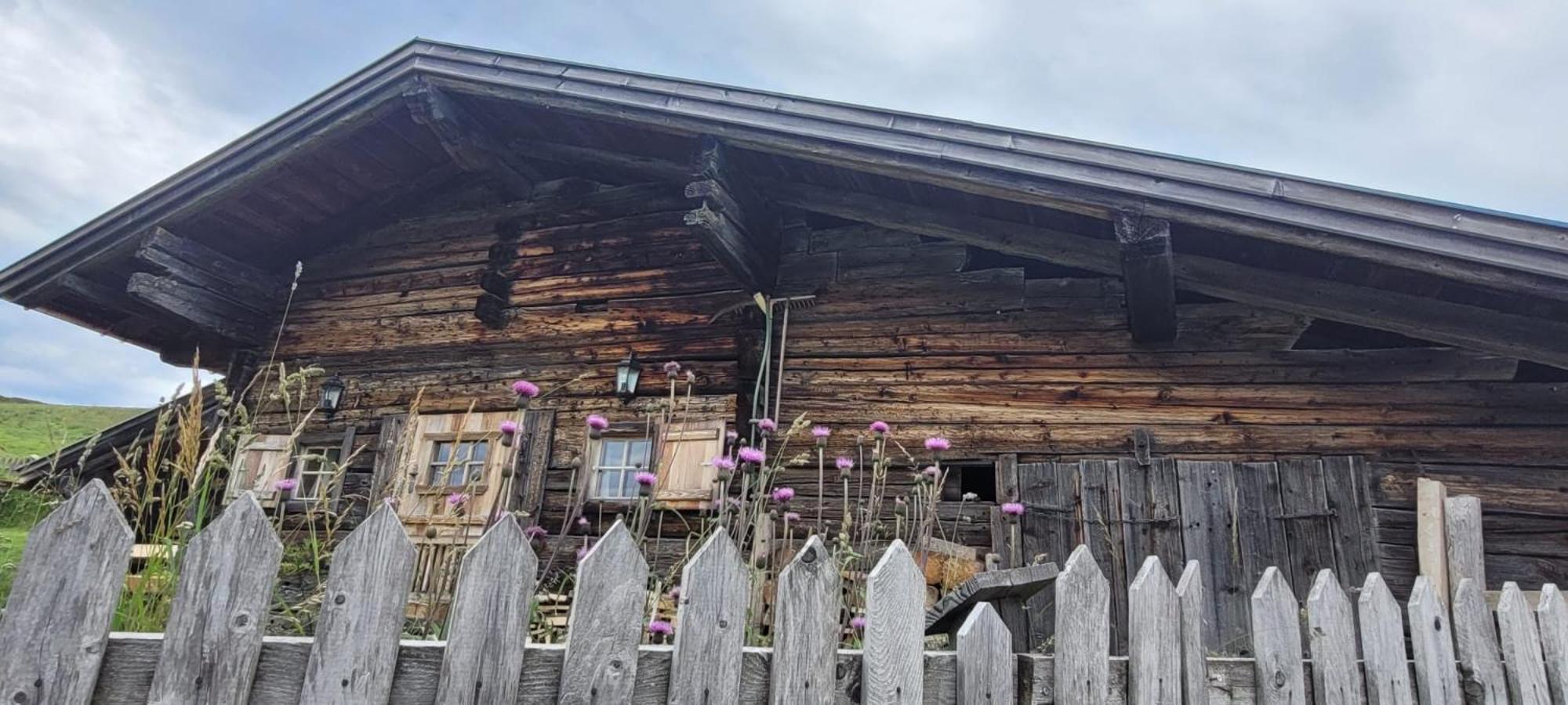 Haus Gmahblick Ferienwonungen Hotell Alpbach Eksteriør bilde
