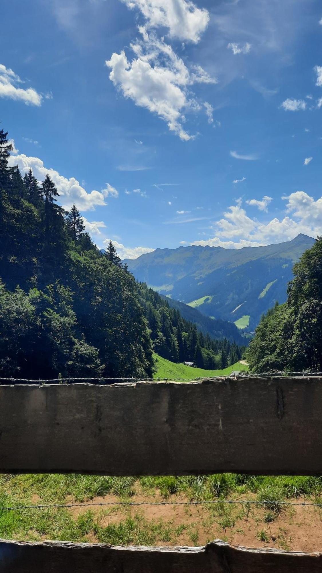 Haus Gmahblick Ferienwonungen Hotell Alpbach Eksteriør bilde